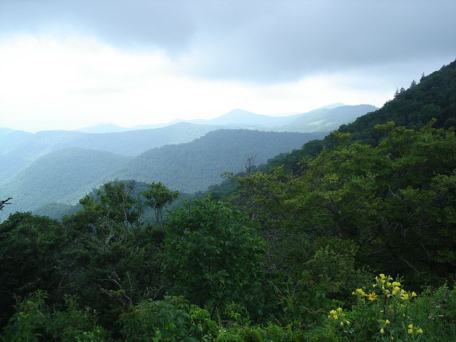 Lone Bald Overlook.