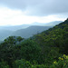 Lone Bald Overlook.