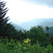 Lone Bald Overlook.