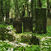 Jüdischer Friedhof Schönhauser Allee_5