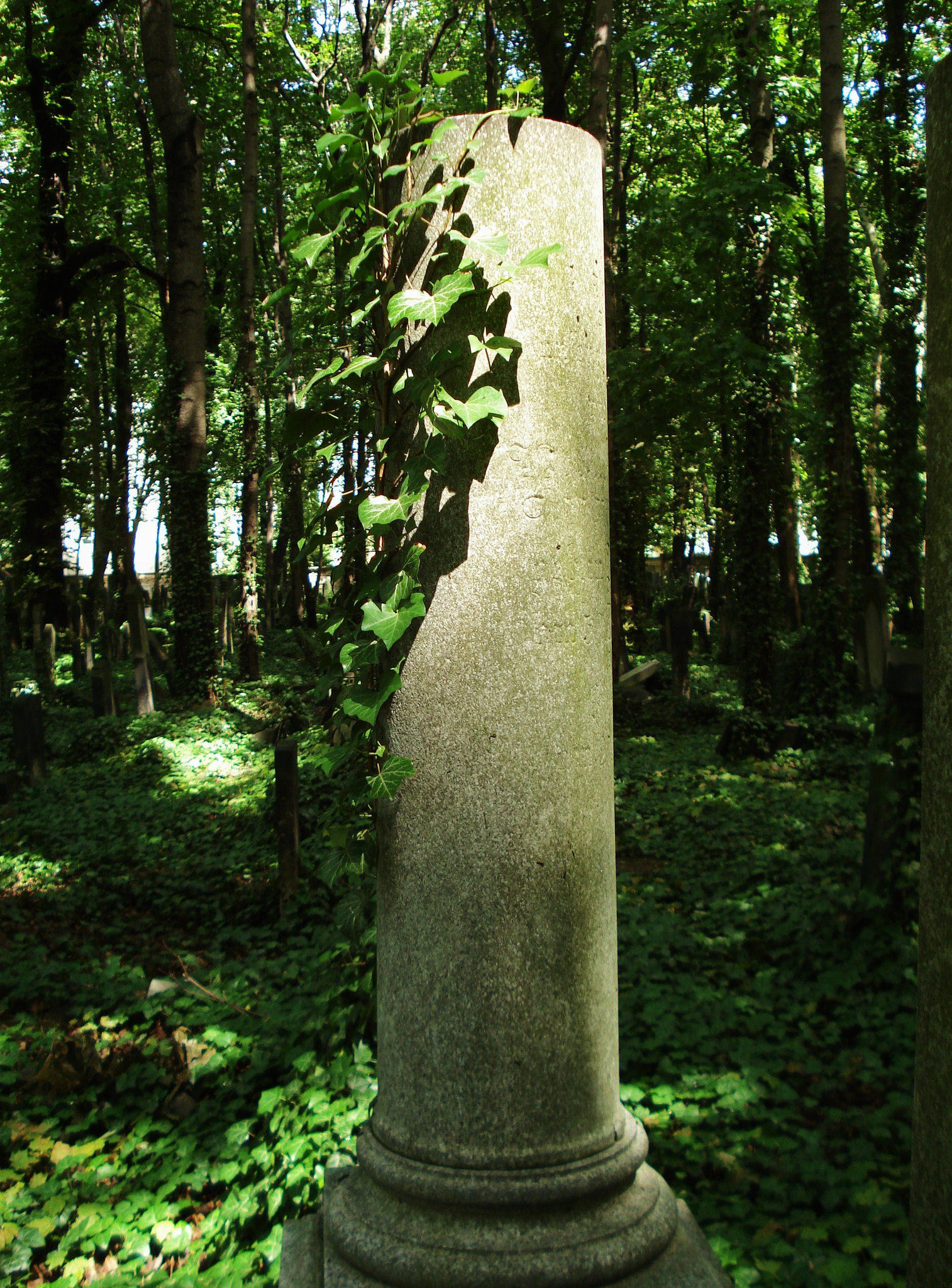 Jüdischer Friedhof Schönhauser Allee_4