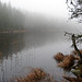 Misty lake