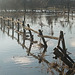 Lahn-Hochwasser