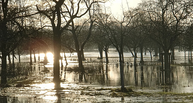 Lahn-Hochwasser