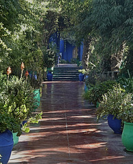 Jardin Majorelle - Marrakech