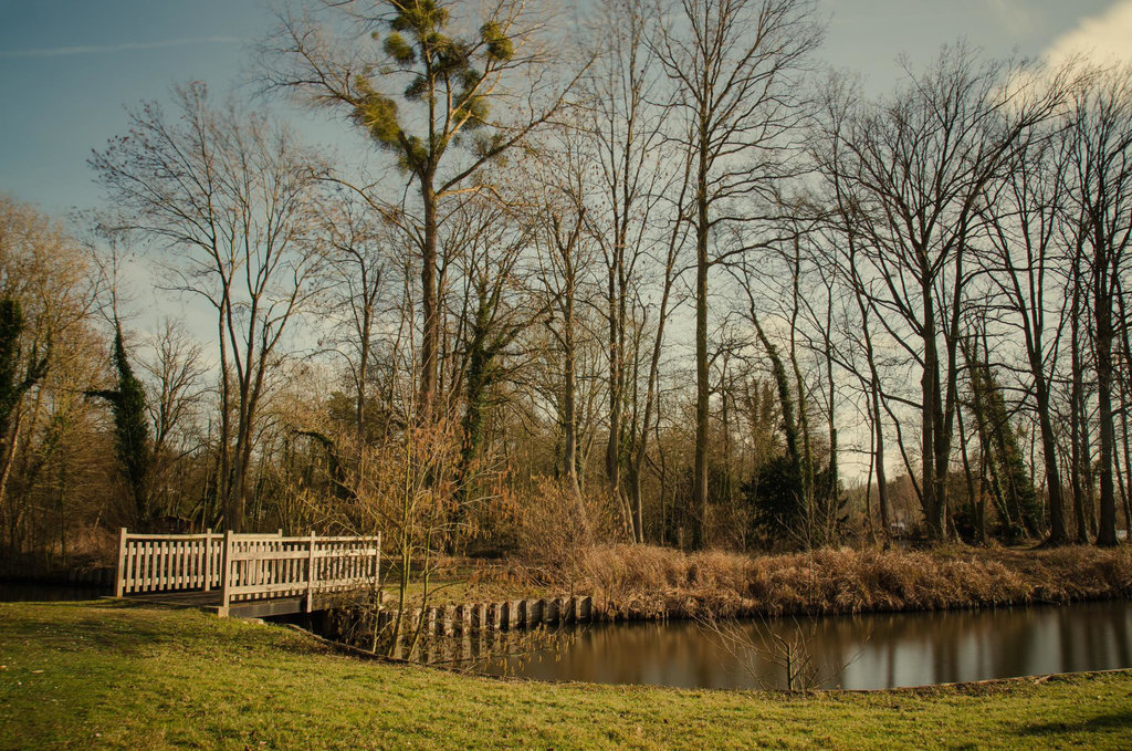 Etangs Vert-Le-Petit