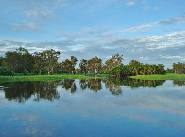 Yellow Water Billabong_6