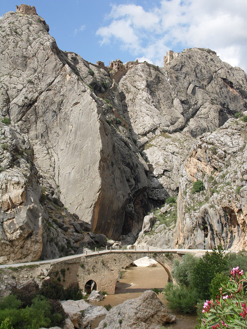 Castle and Bridge