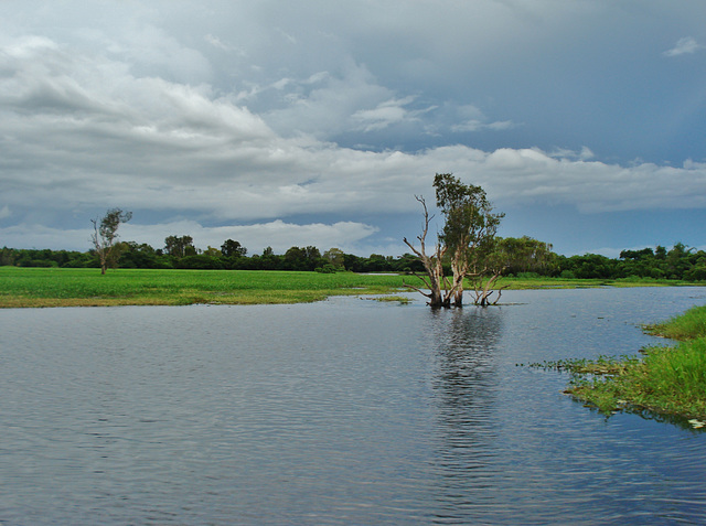 South Alligator River_5