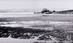 Walker Creek meets Tomales Bay