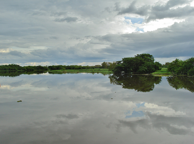 South Alligator River_3