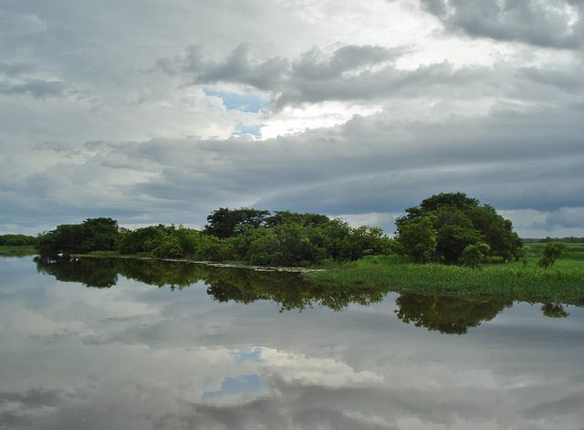 South Alligator River_2