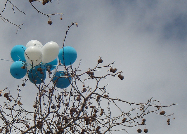 UniMelb leftover balloons_2