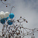 UniMelb leftover balloons_2