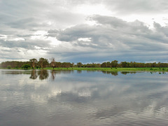 Yellow Water Billabong_2