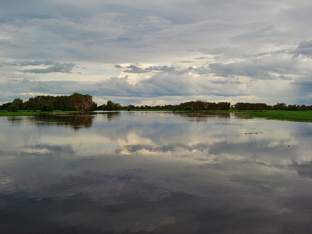 Yellow Water Billabong_1