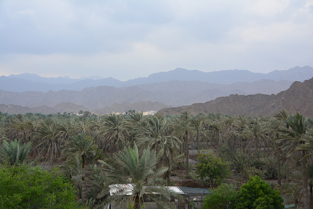 Fujairah 2013 – View from the watchtower of Al Badiyah Mosque