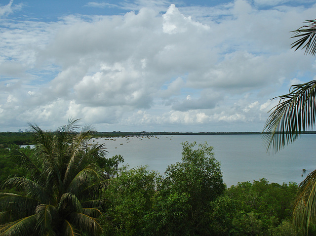 Nightcliff mudflats