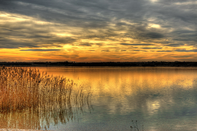 am Werbeliner See