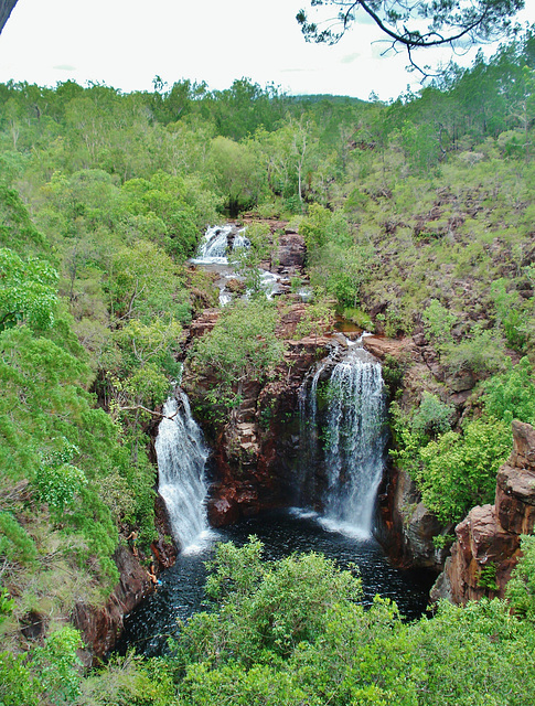 Florence Falls