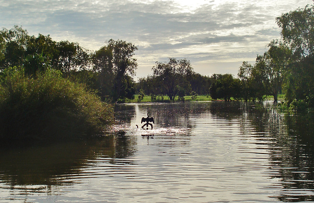 South Alligator River_8