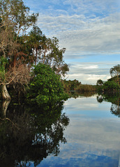 South Alligator River_6