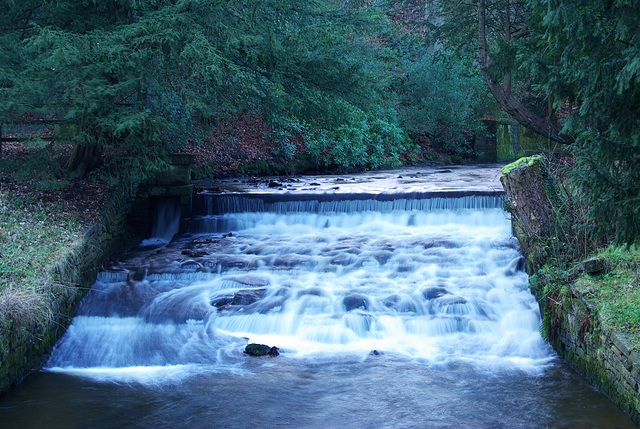 The weir, Shelf Brook