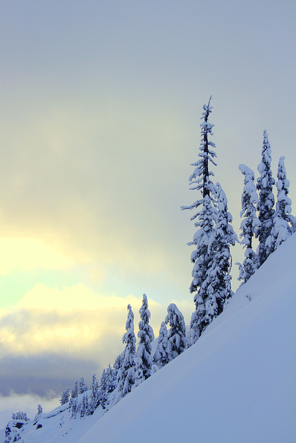 North Cascades Winter Morning