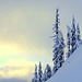 North Cascades Winter Morning