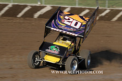 IMG_8338 copy