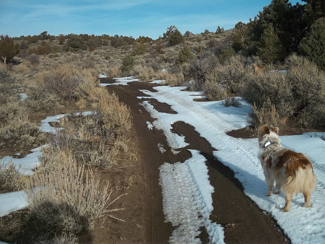 Jill on the Trail