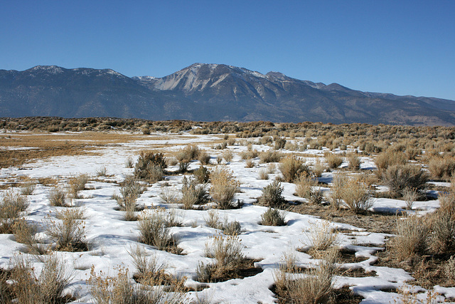 Washoe Valley