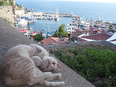 Roman Harbour, Antalya