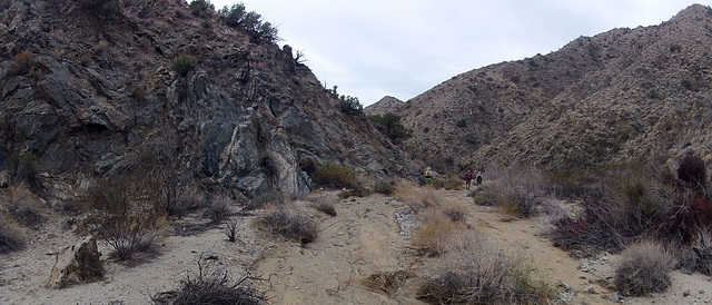 Long Canyon (11021)