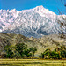 Lone Pine Peak and Alabama Hills, March 1980  (270°)