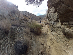 Long Canyon (21105)