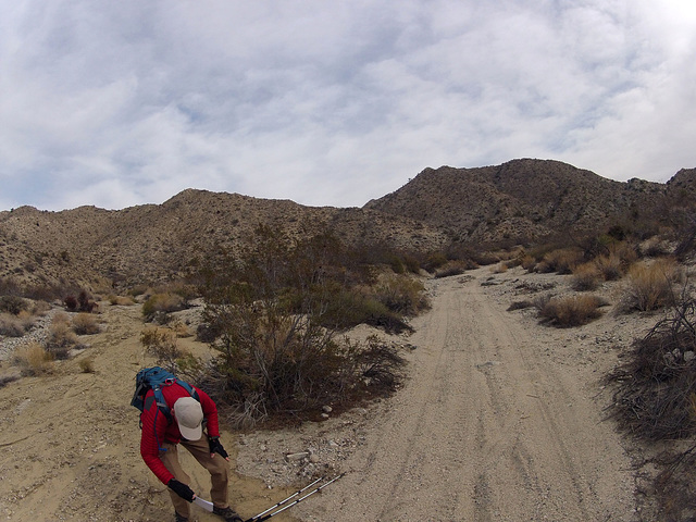 Long Canyon (21133) Vehicle Tracks