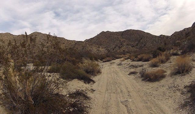 Long Canyon (21152) Vehicle Tracks