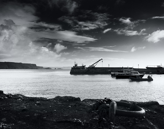 Tenby Harbour