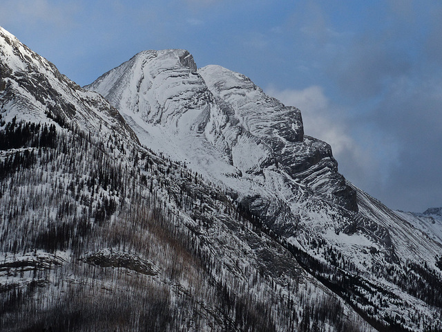 A view from Mt. Shark, Kananaskis