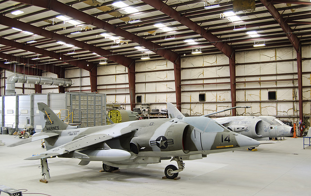 Harrier and Kestrel