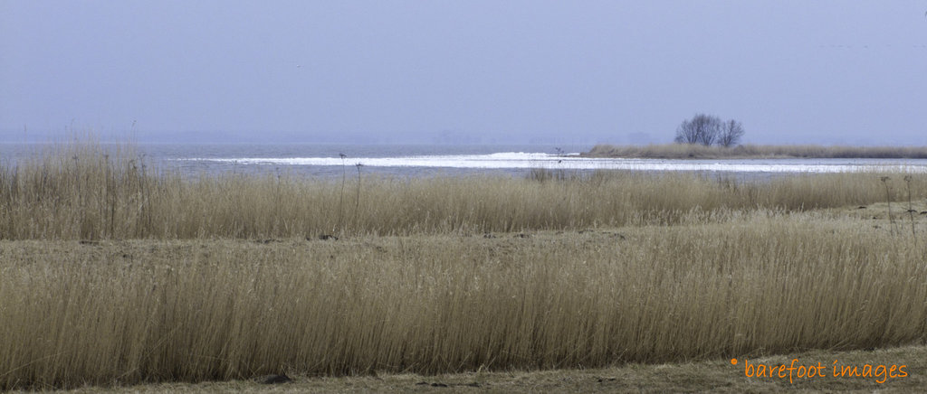 Stolpe, Insel Usedom: Am Stettiner Haff I