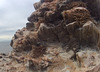 Mullet Island (0932)
