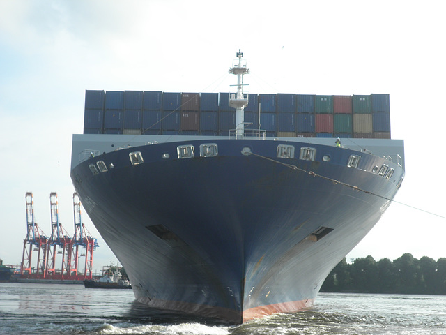 Bugansicht von  CMA  CGM  Columba