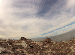 Mullet Island (0844)