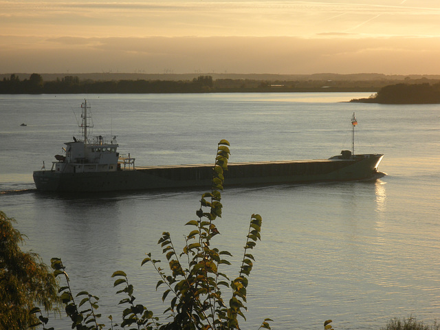 Kümo auf der Elbe