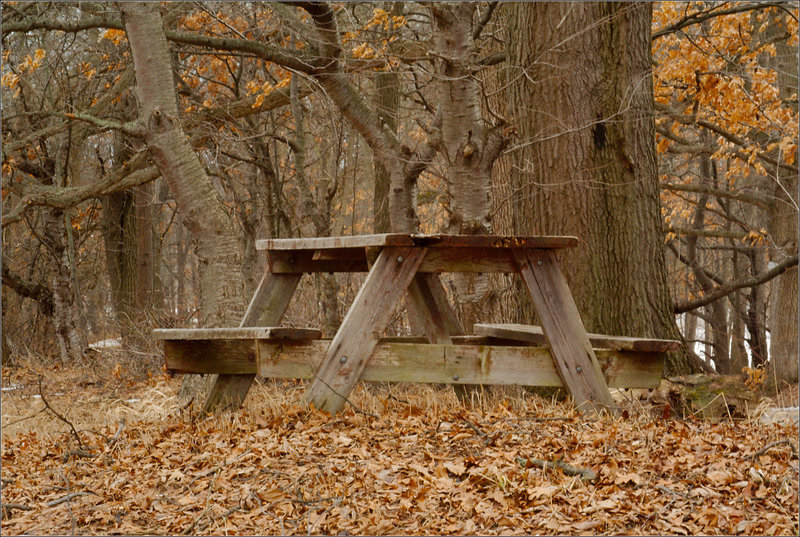 Too Cold for a Picnic