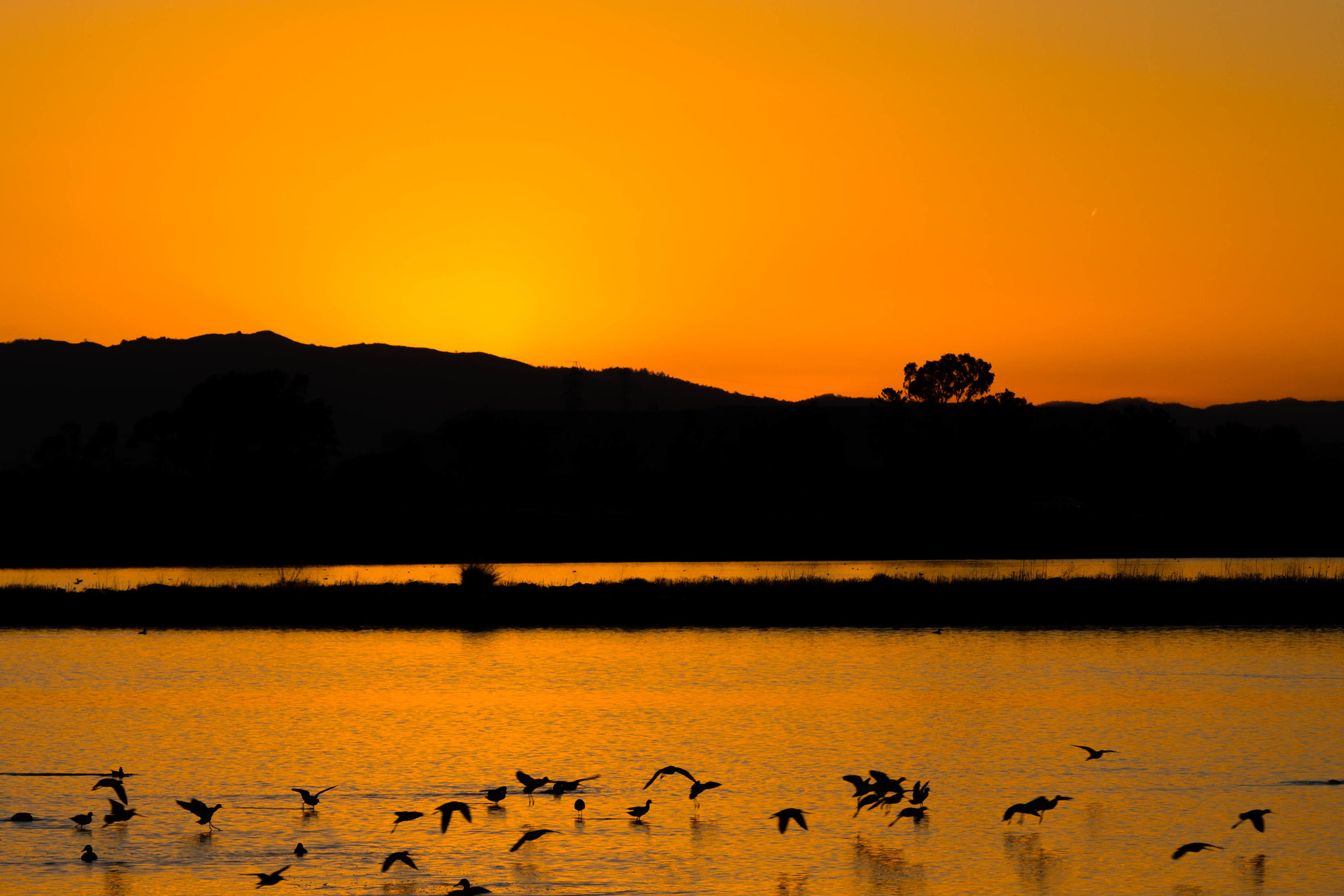 Imminent sunrise.