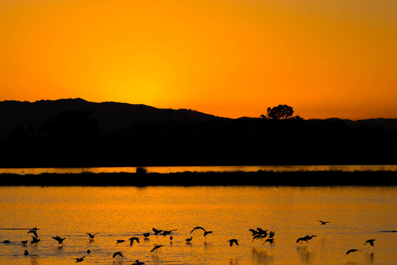 Imminent sunrise.