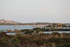 IMG_1533